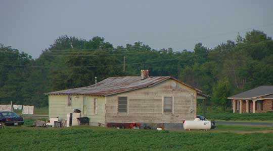 Juke Joint of Poison