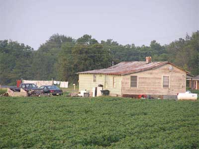 Juke Joint of Poison