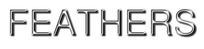 FEATHERS
